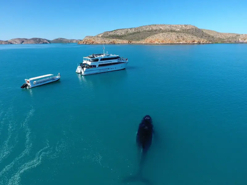 DJI_0214-1536x1152.jpg