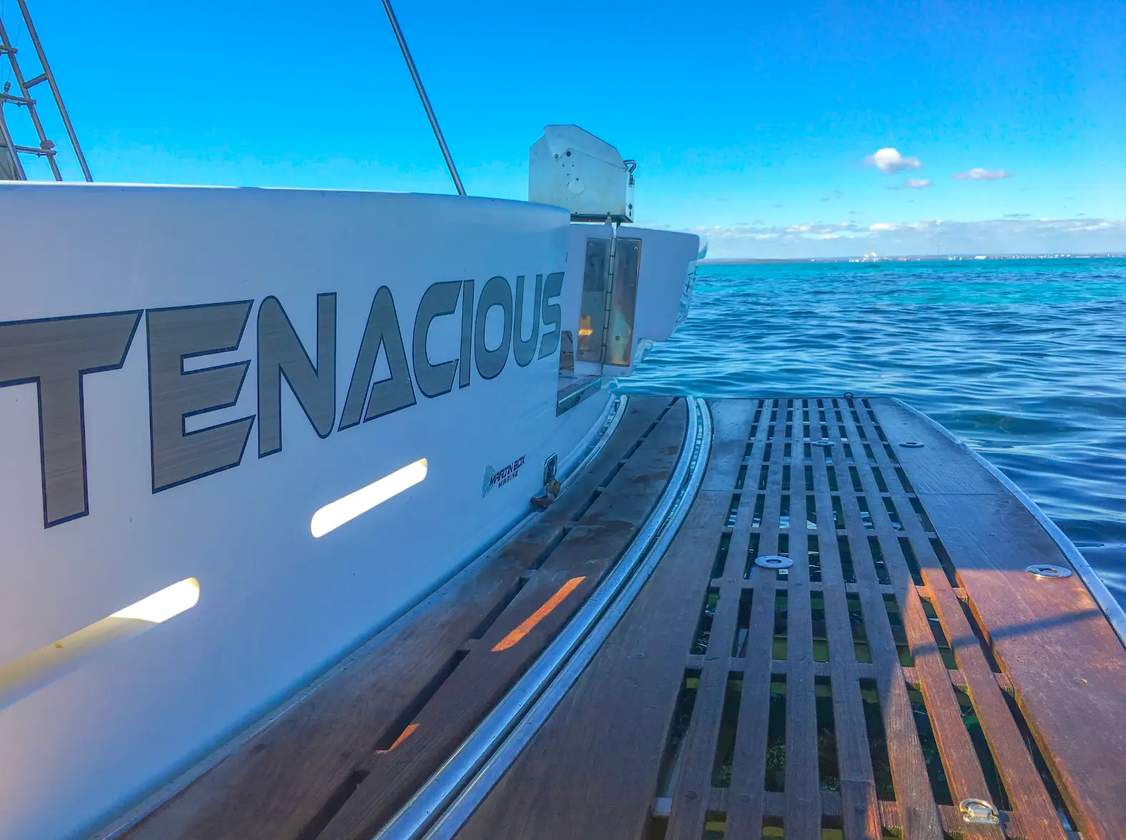 Tenacious-2