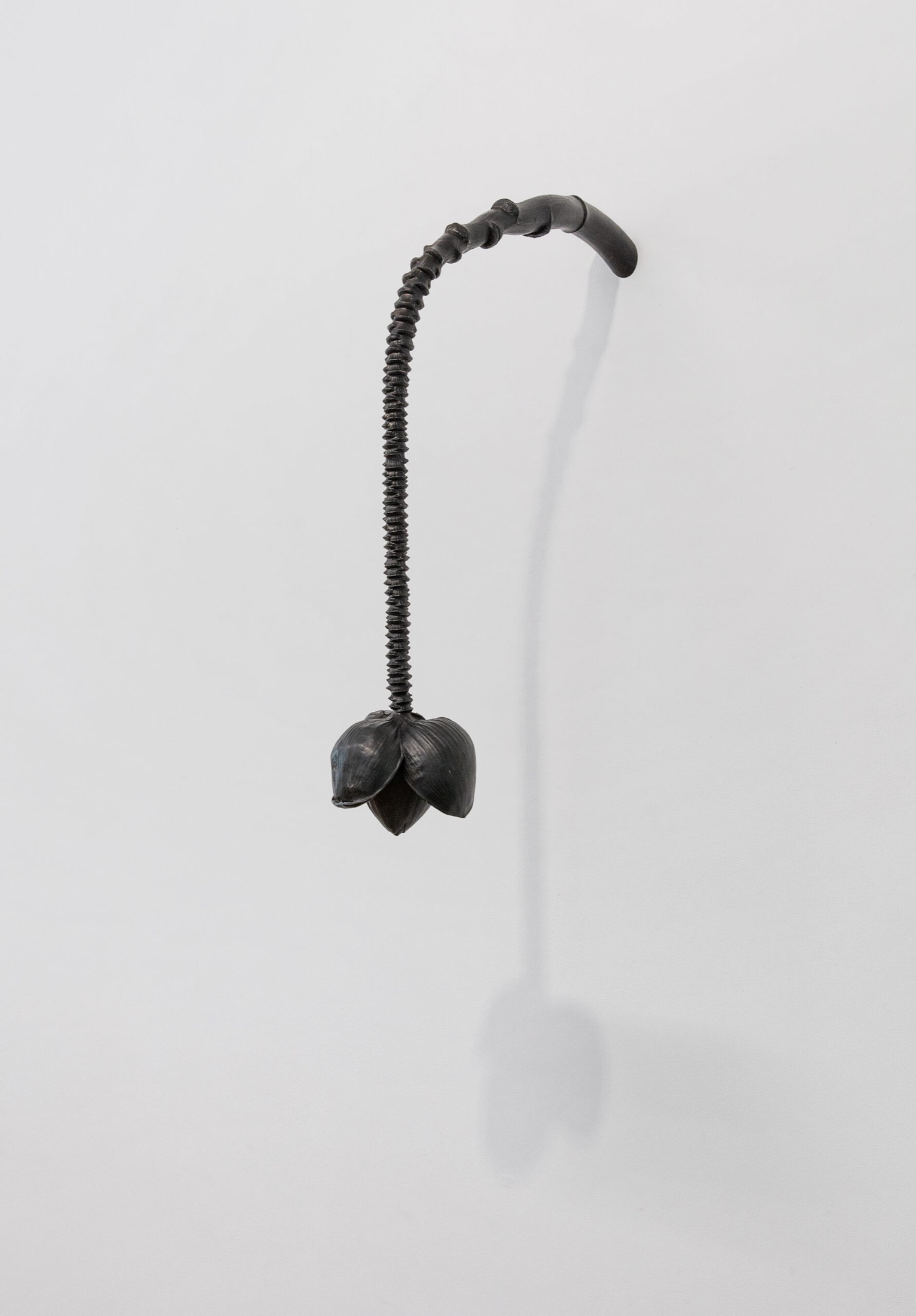 Livie Gallery (5)