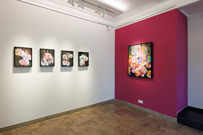 Stern-Wywiol Galerie (4)