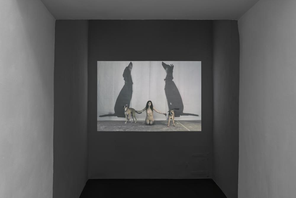 Charim Galerie (3)