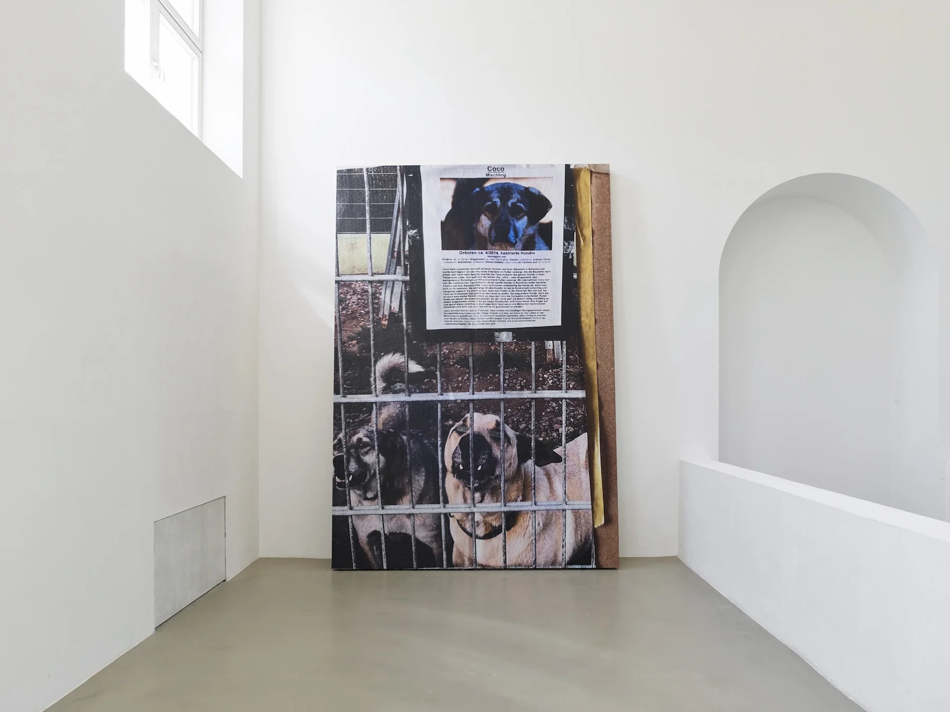 Kunstverein München (6)