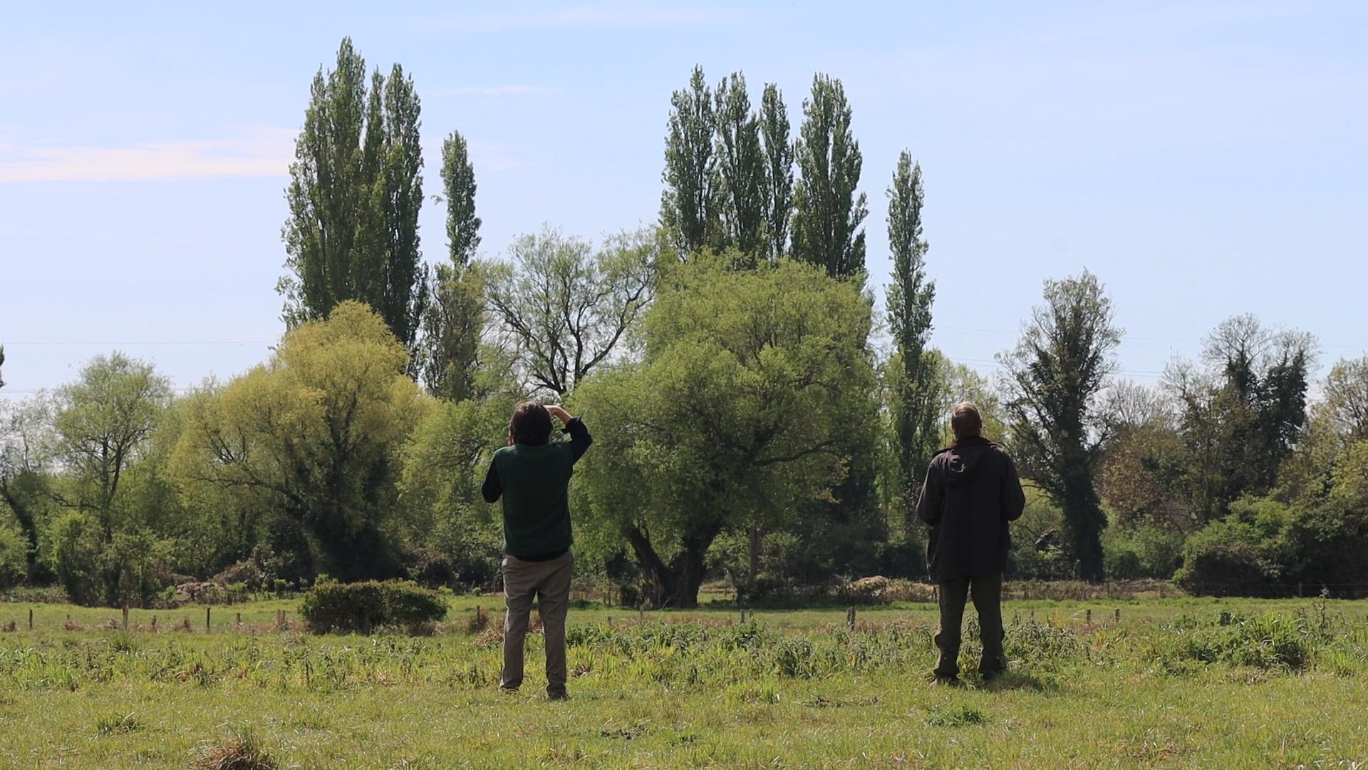Lecture on Birdsong (2)