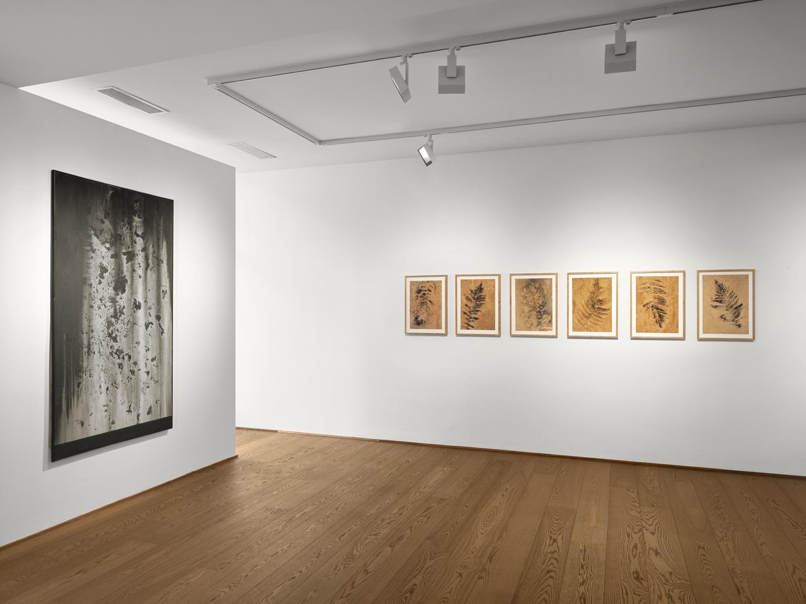 Galerie Haas Zürich