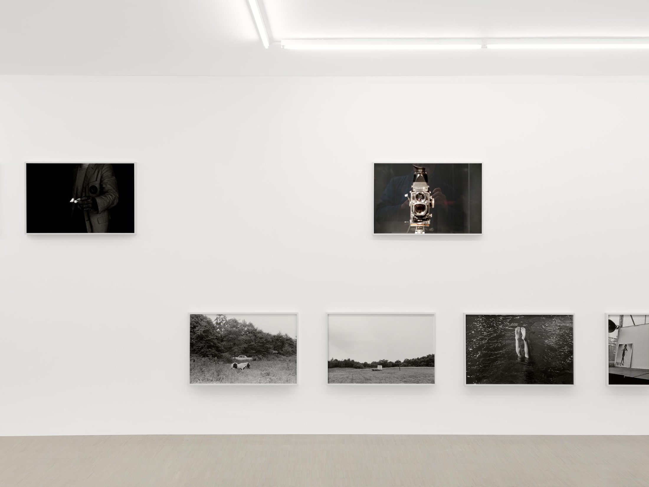 Zander Galerie (4)