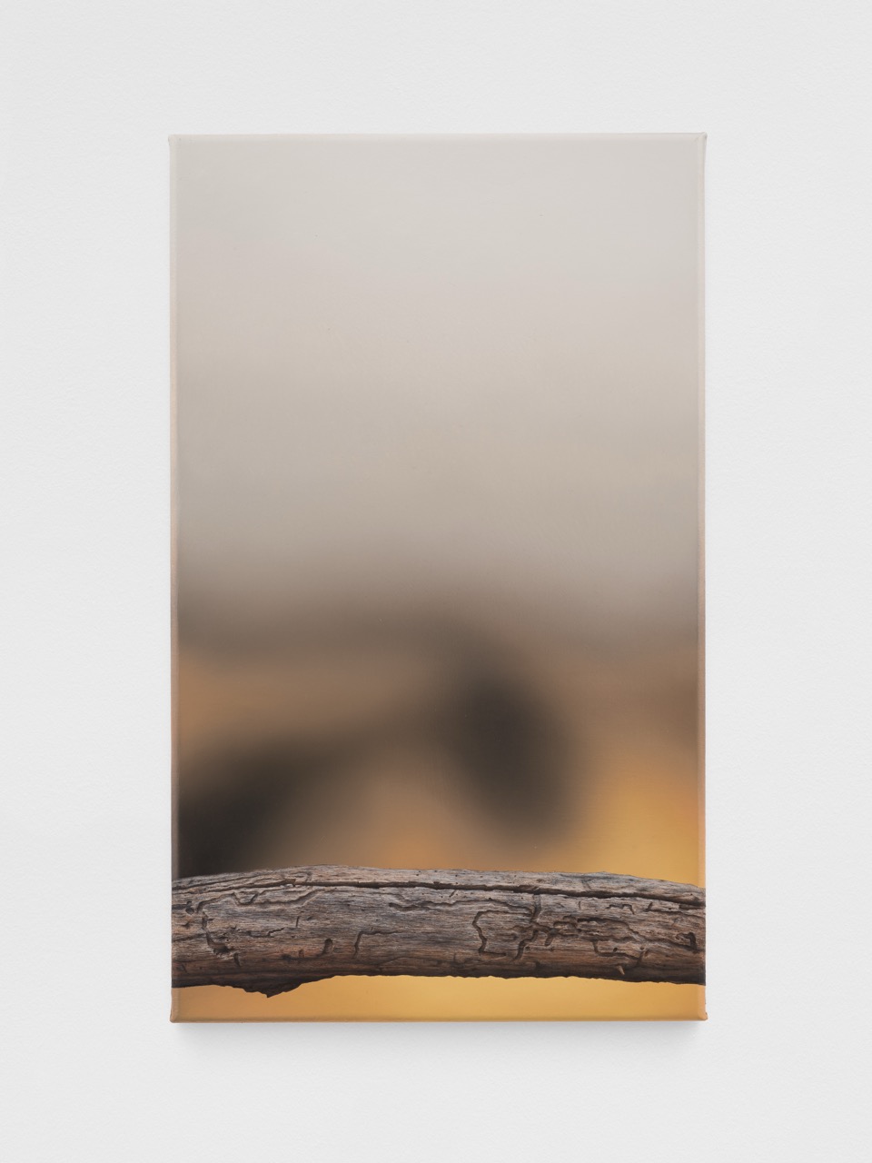Müller Contemporary (5)