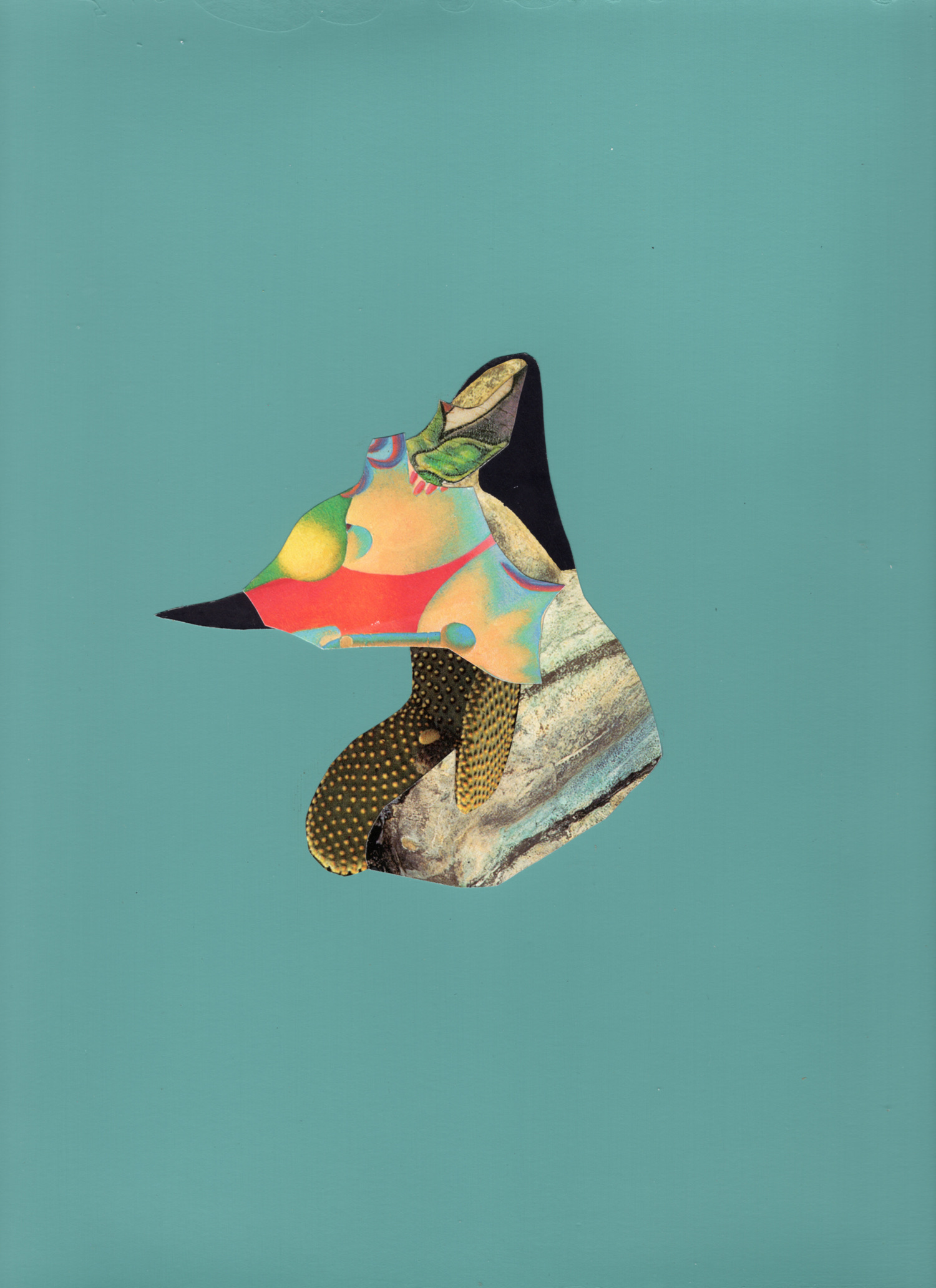 Müller Contemporary (7)