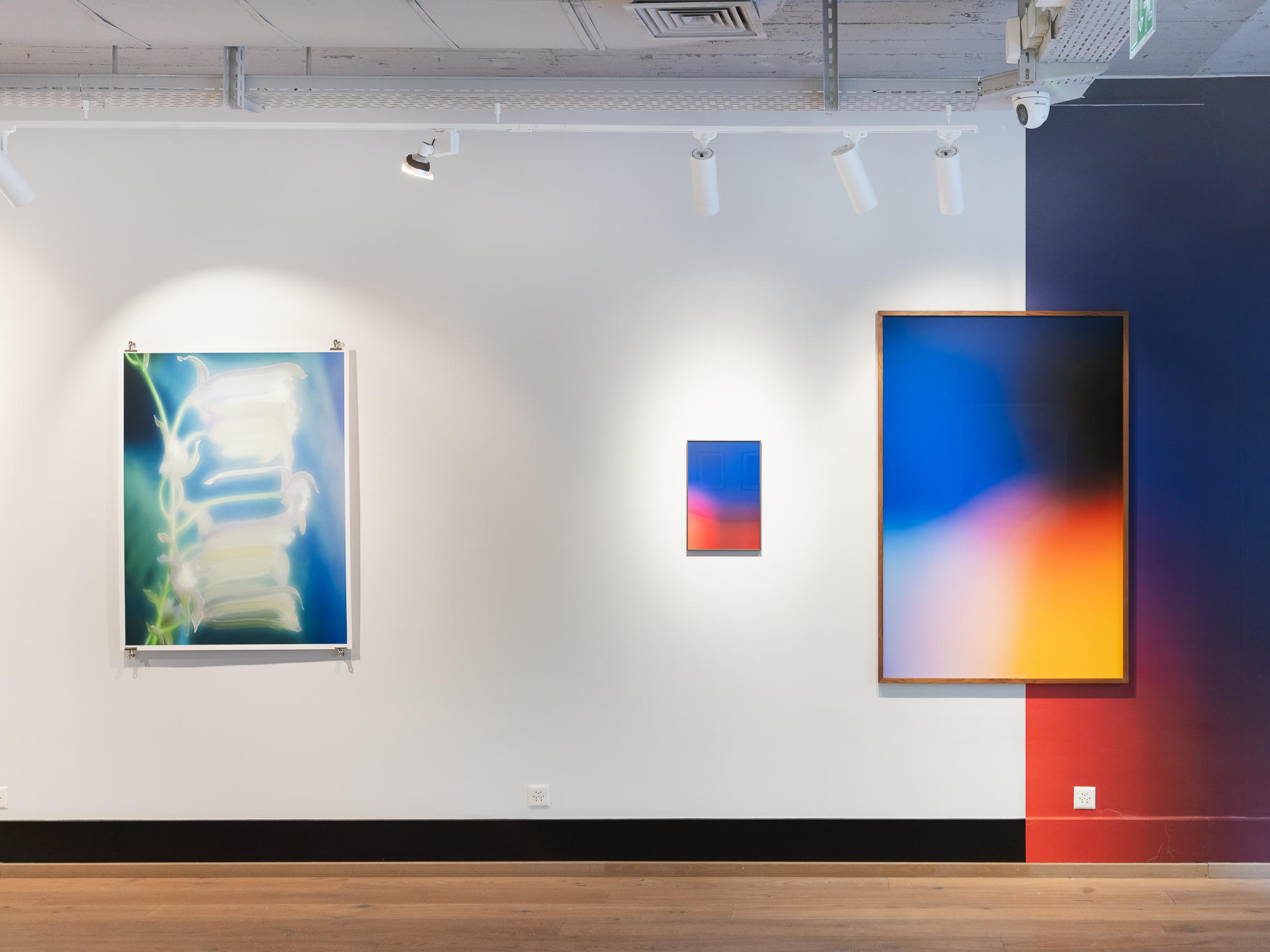 Galerie Polomarco (2)