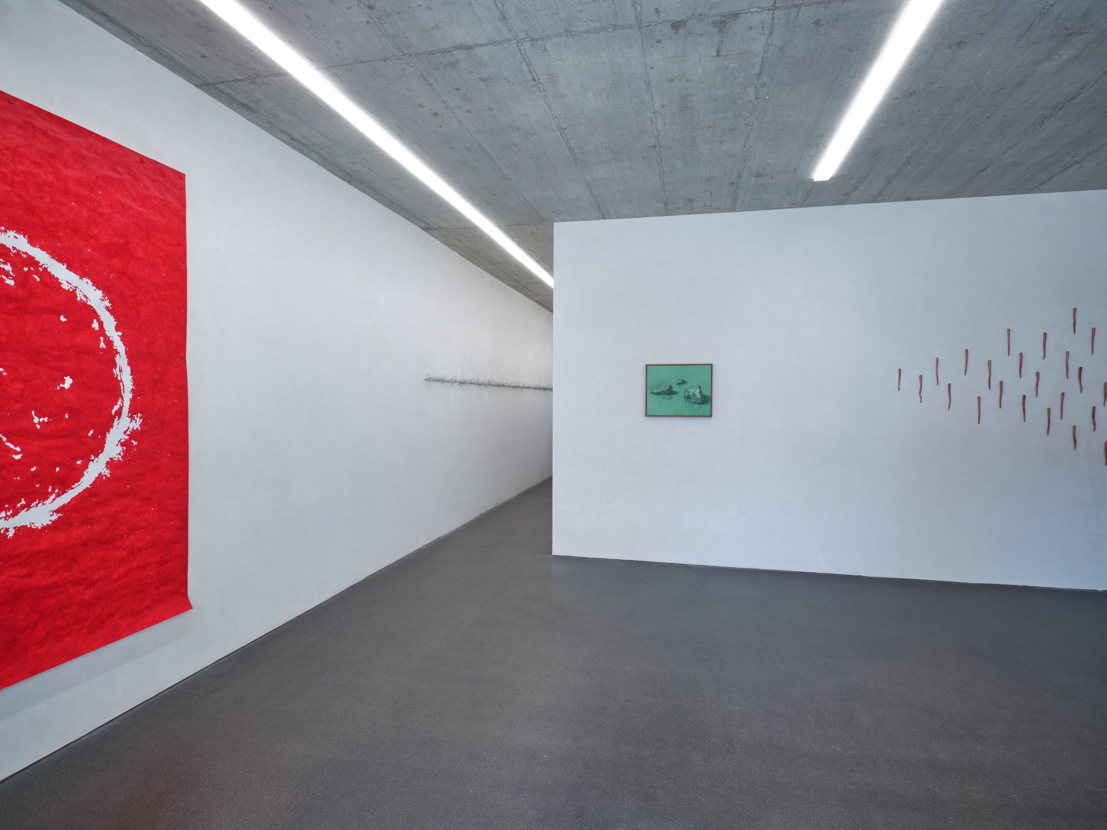 space25 (3)