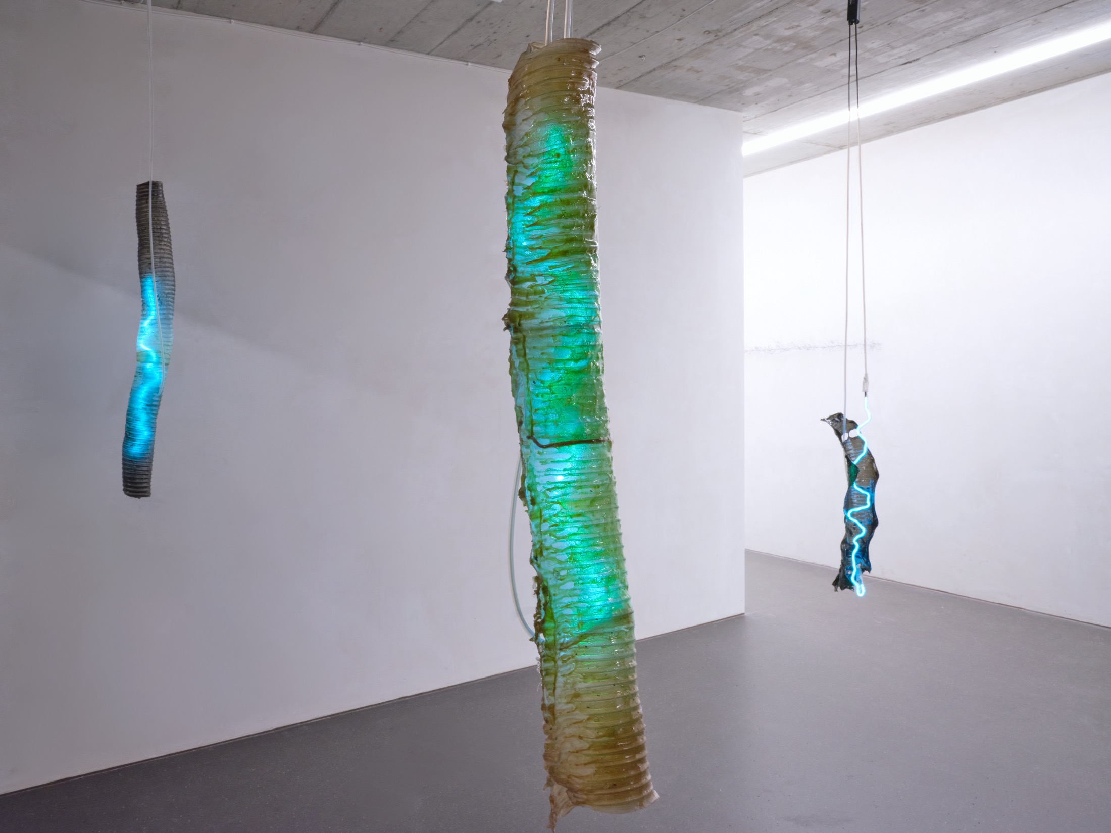 space25 (5)
