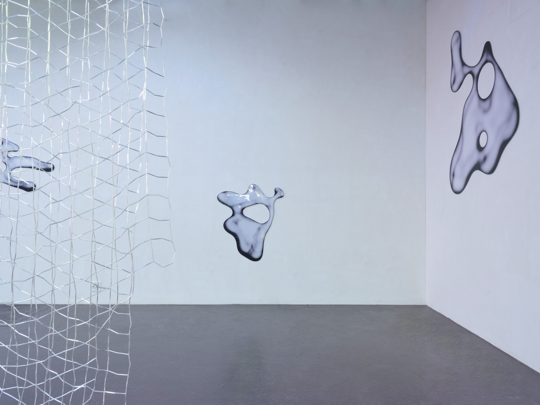 space25 (6)