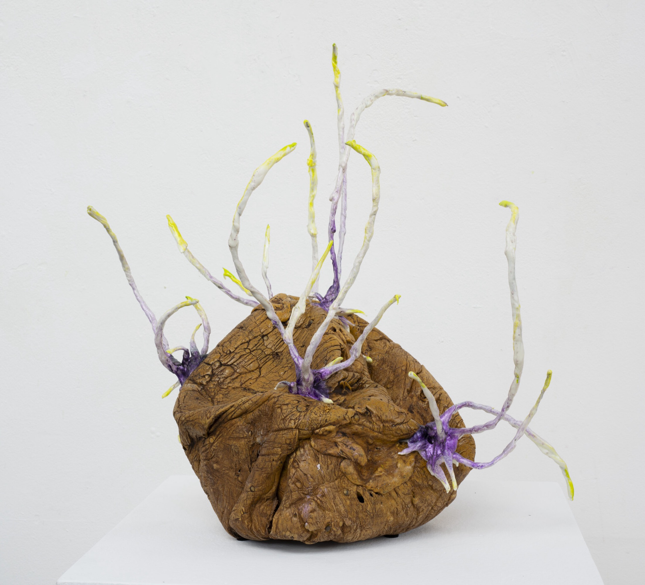 Stefan Gross (6)