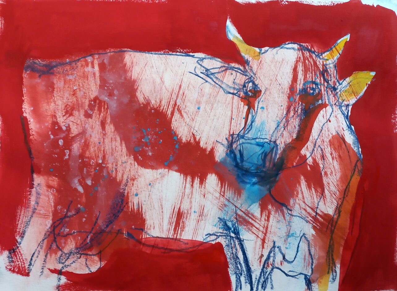 ANIMALIA (2)