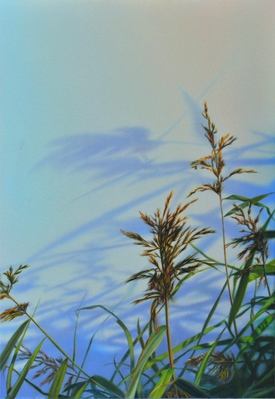 Flora (2)