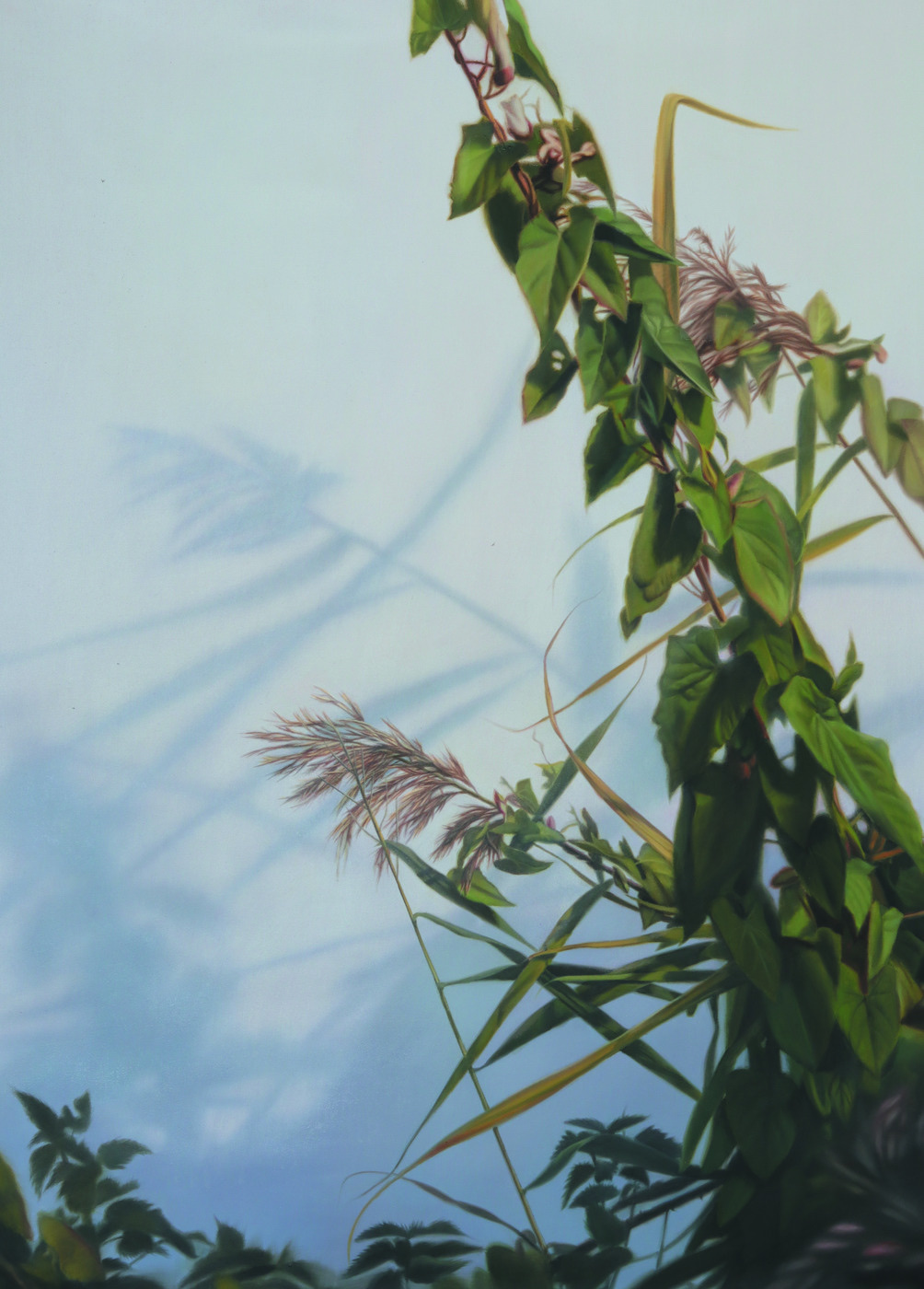 Flora (3)