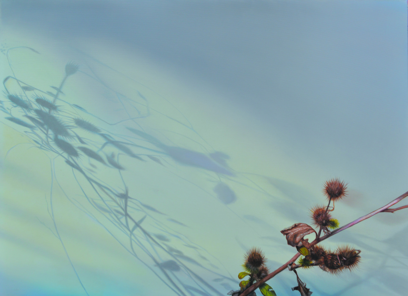 Flora (6)
