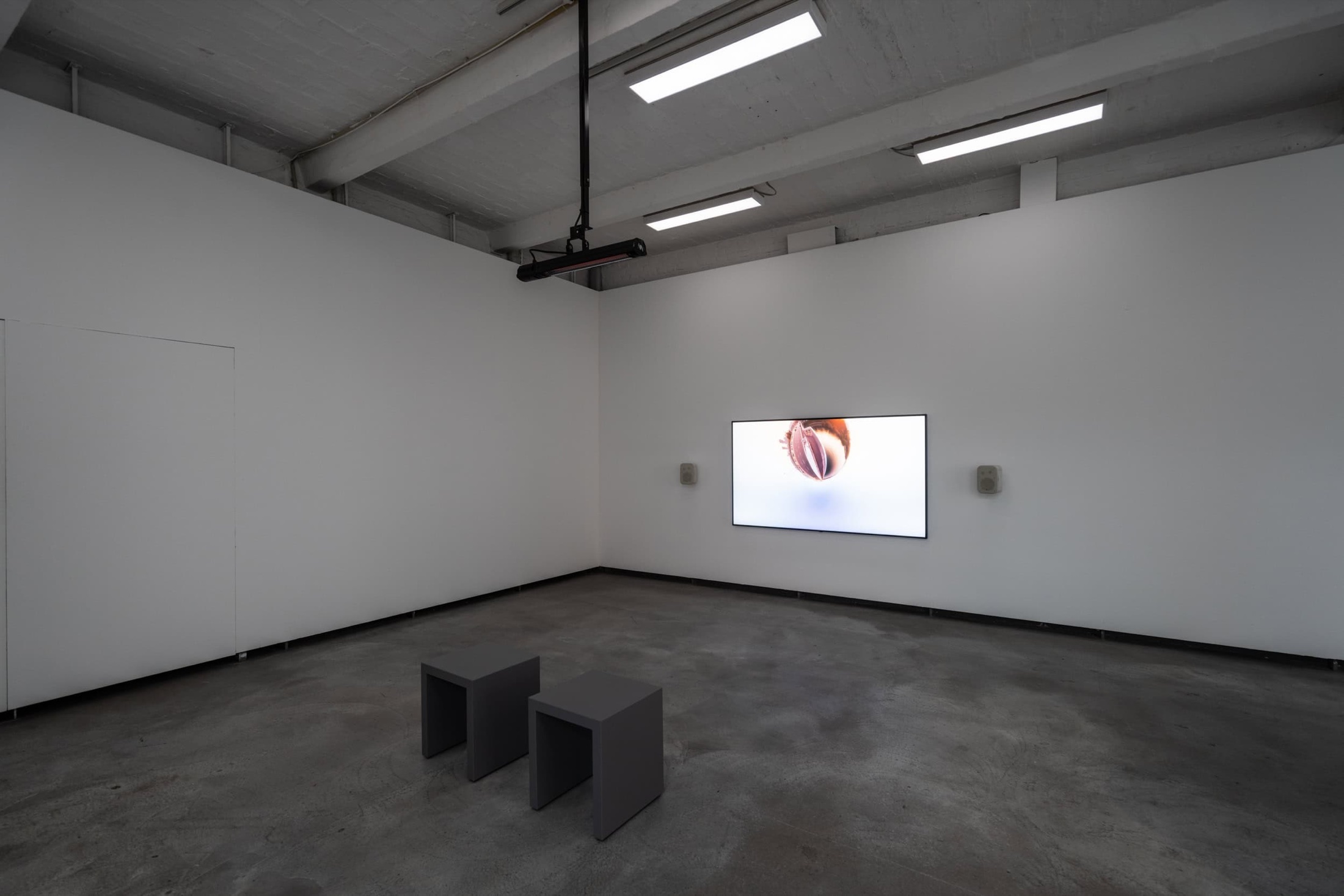 Artists-in-Residence: Current Positions (6)