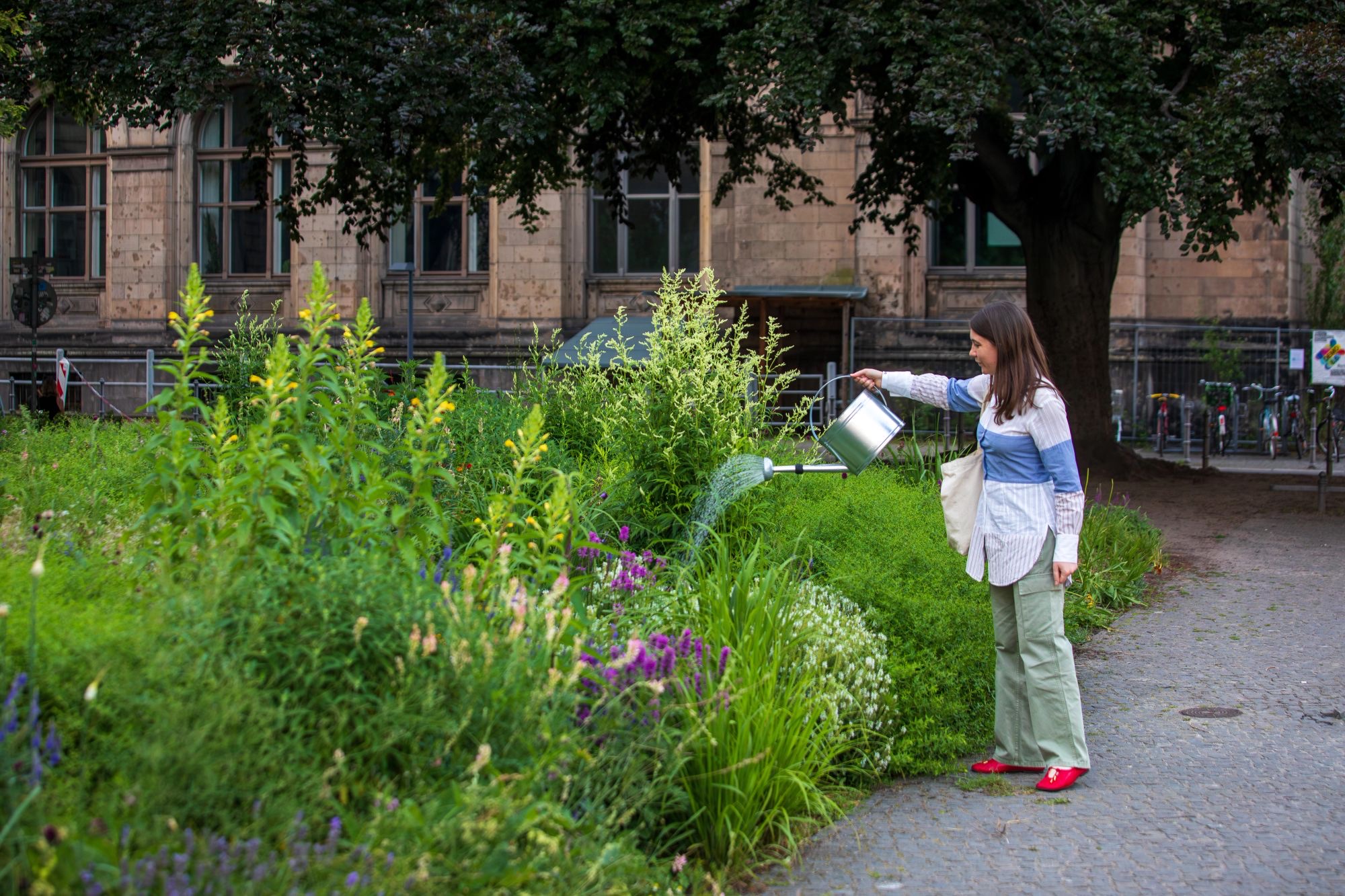 Pollinator Pathmaker (4)