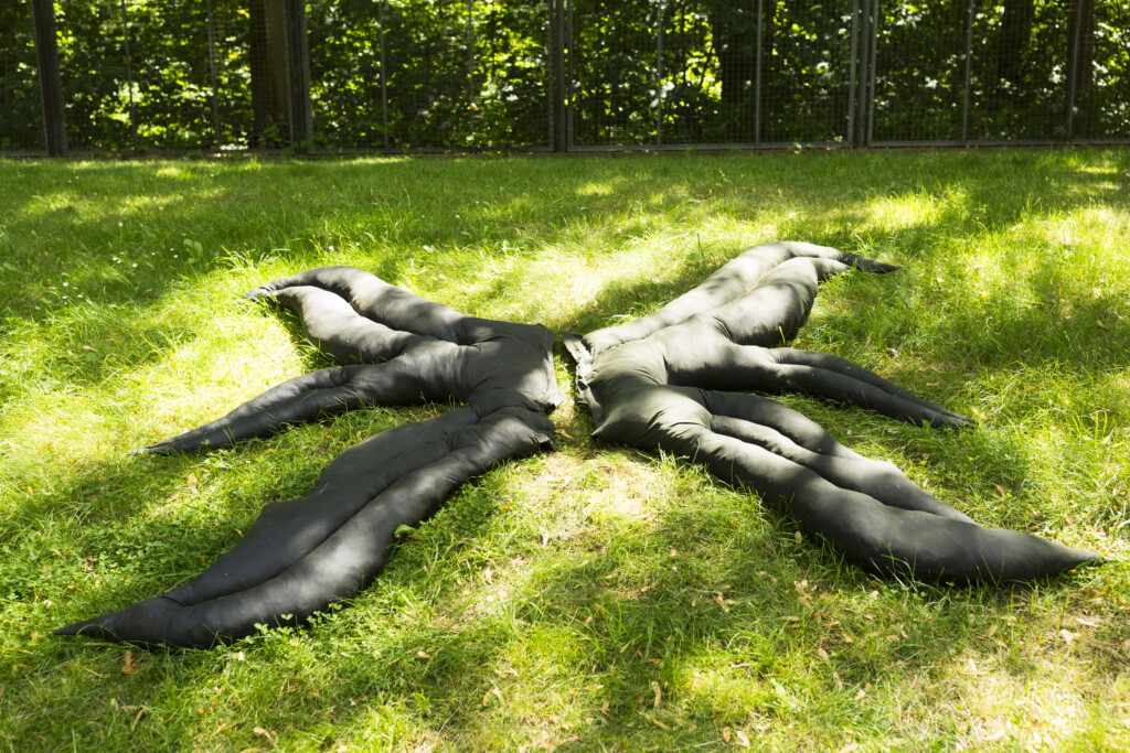 Tropez (3)