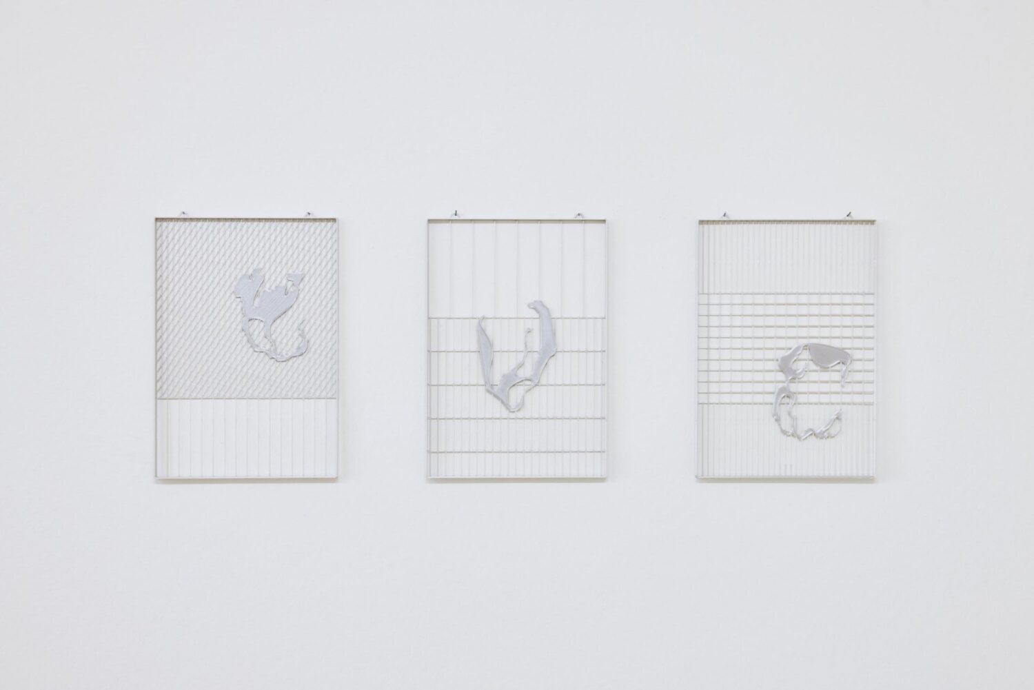 Gallery Ann Mazzotti (5)