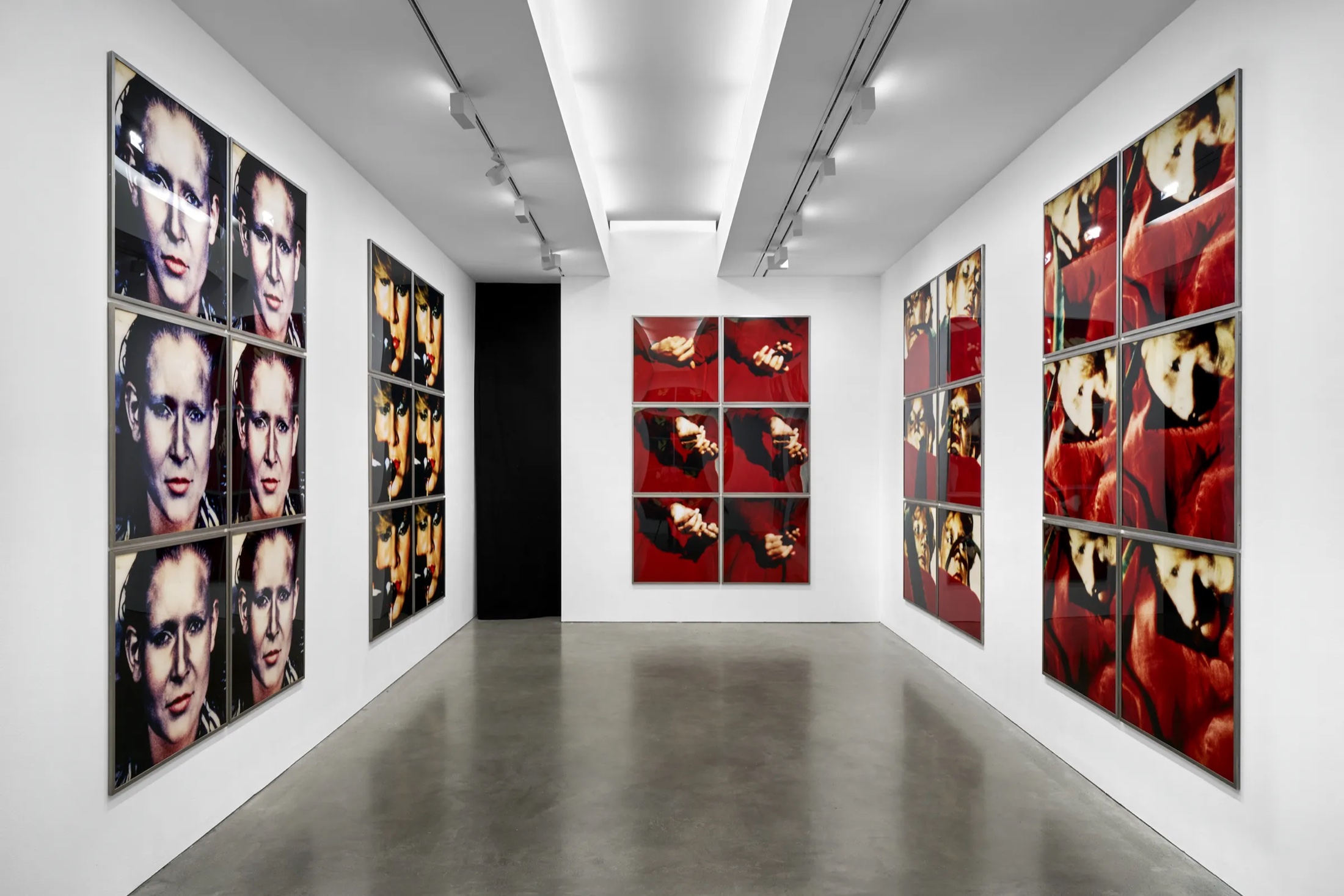 Katharina Sieverding: Life—Death (2)
