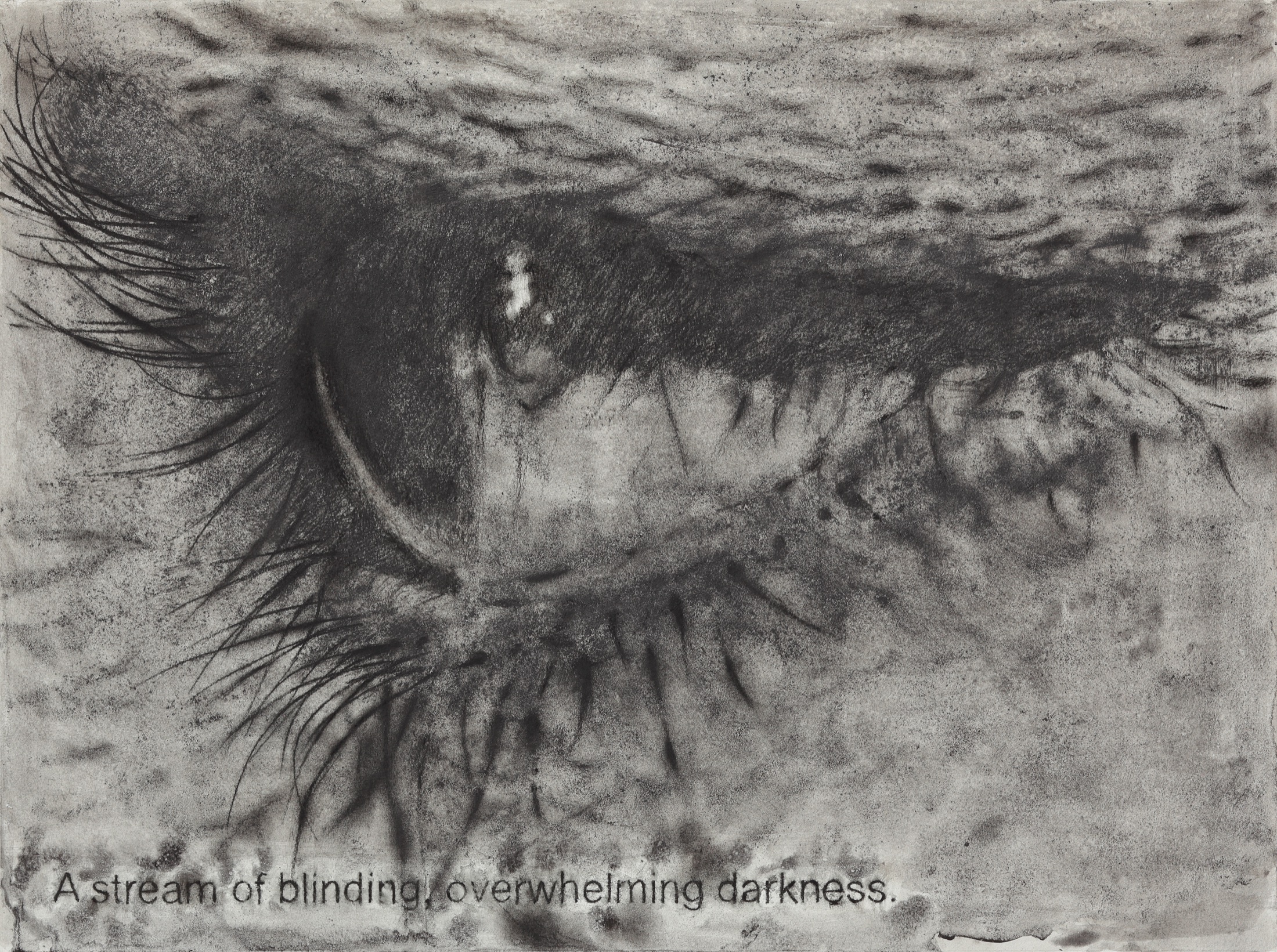 Rhizome (4)