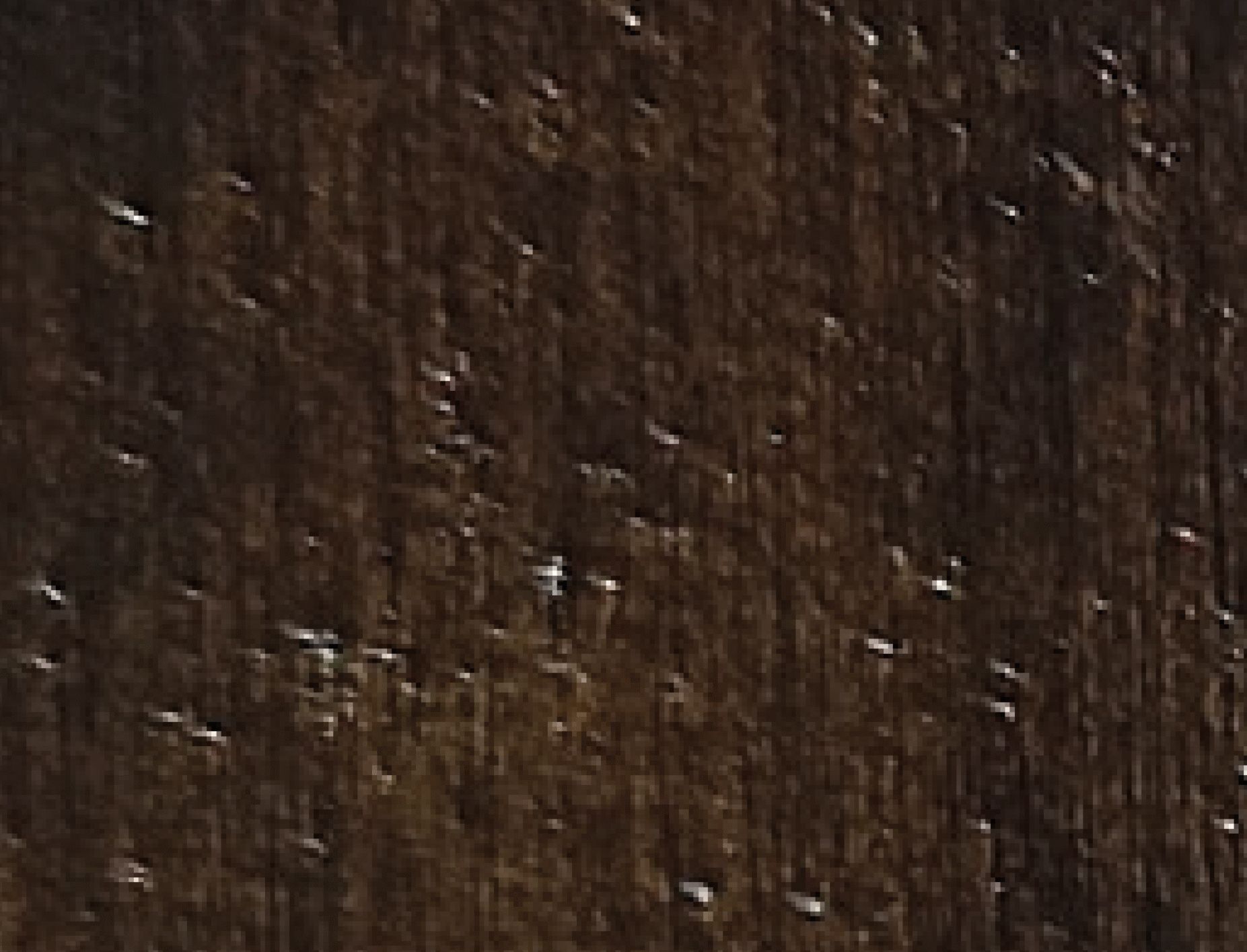 NEGRO (Textura)