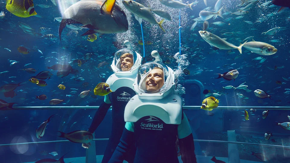 SeaWorld Abu Dhabi