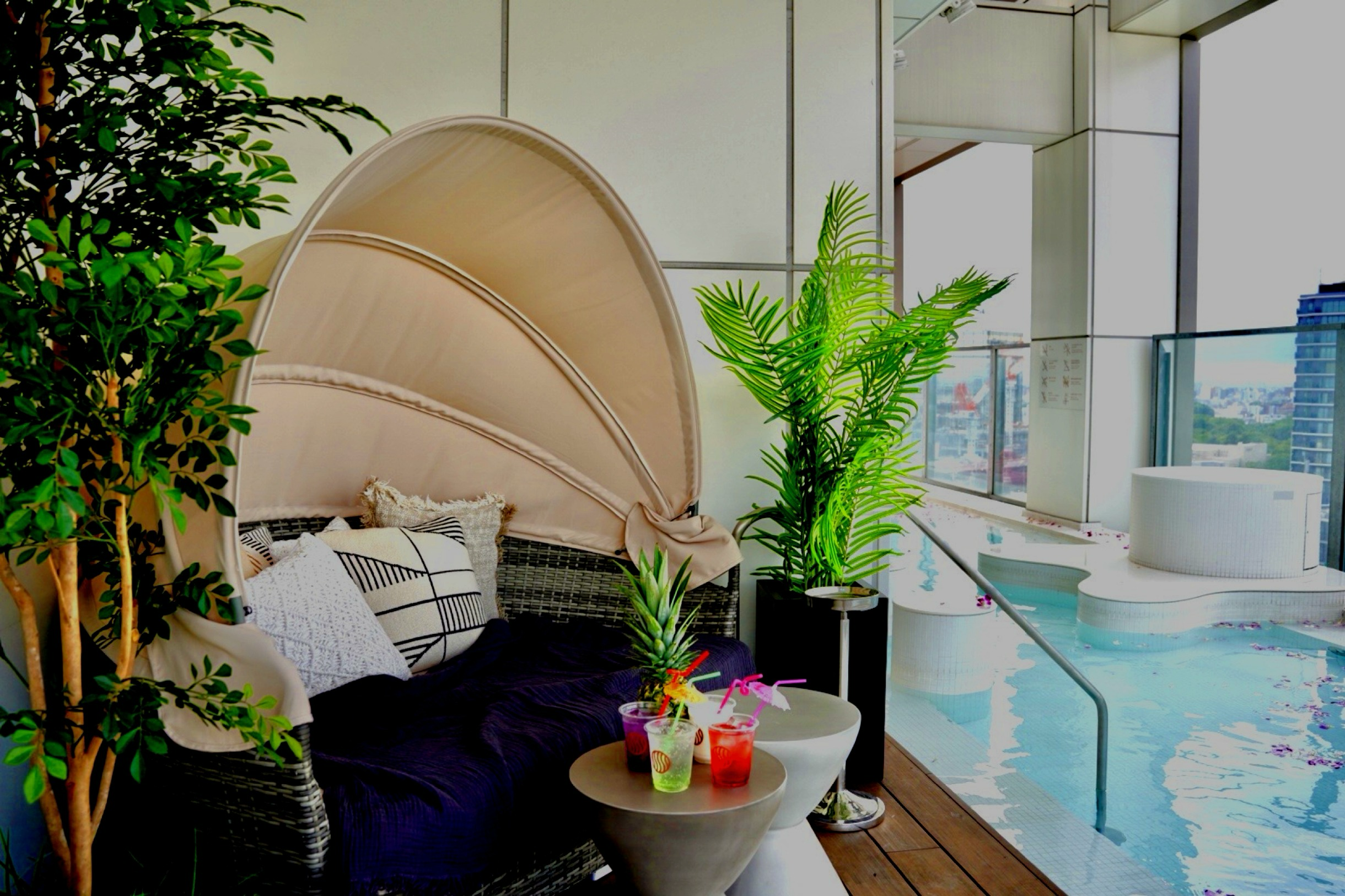 SOAK Rooftop Restaurant & Bar