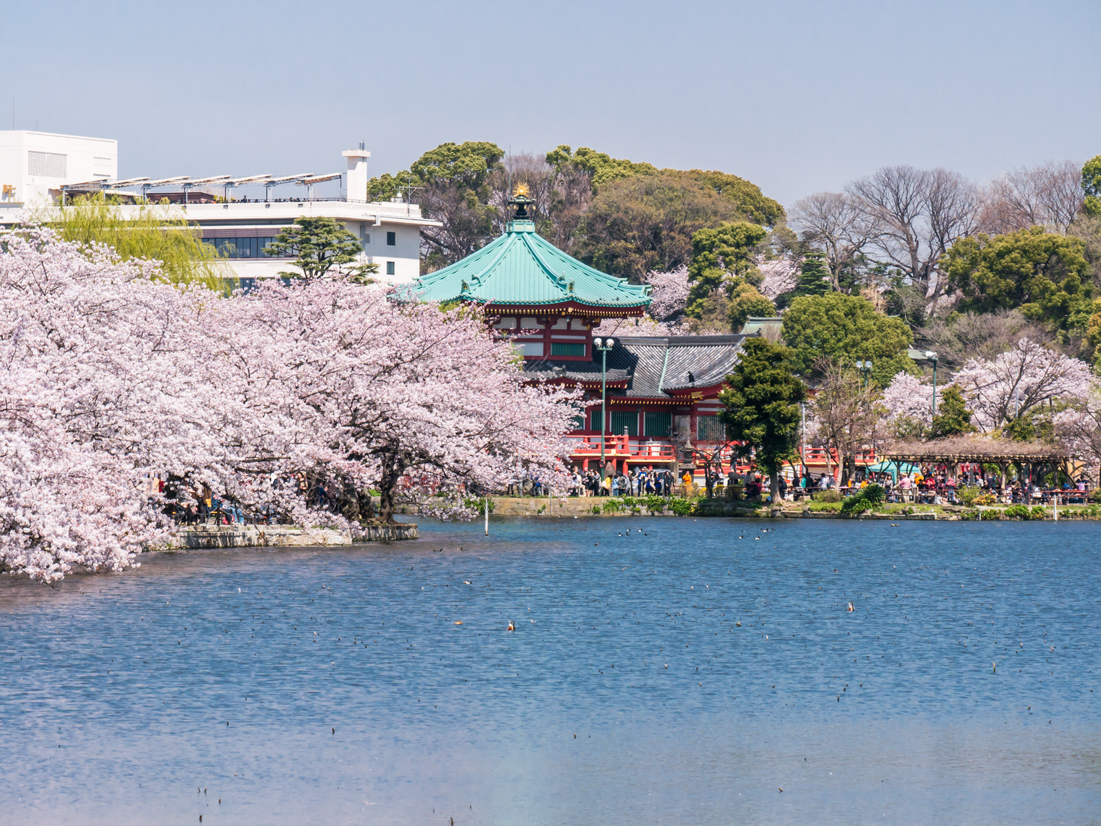 Ueno Park