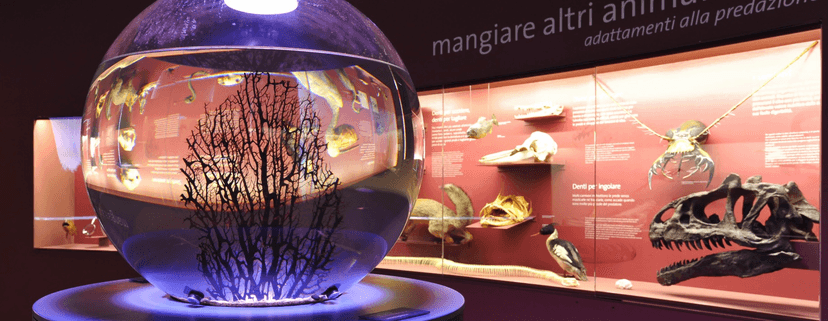 Natural History Museum