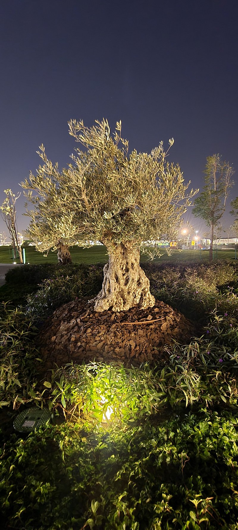 Al Gharrafa Family Park