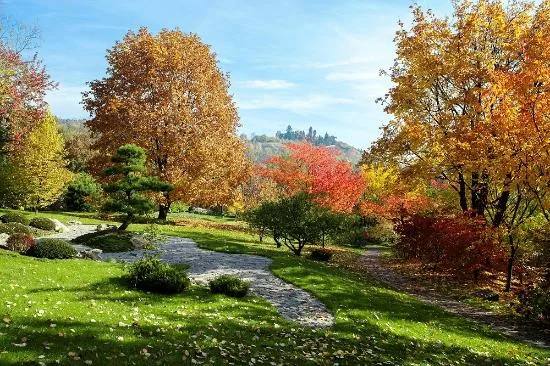The Botanical Garden