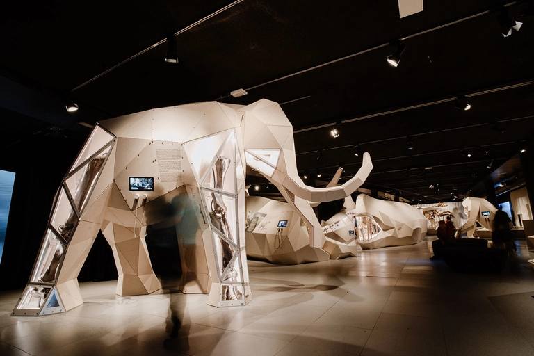 National Museum of Scotland