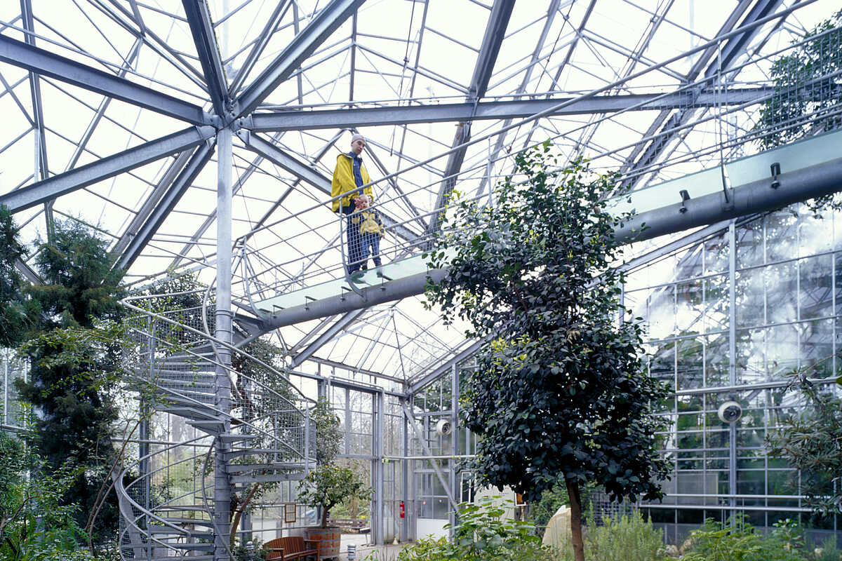 Hortus Botanicus