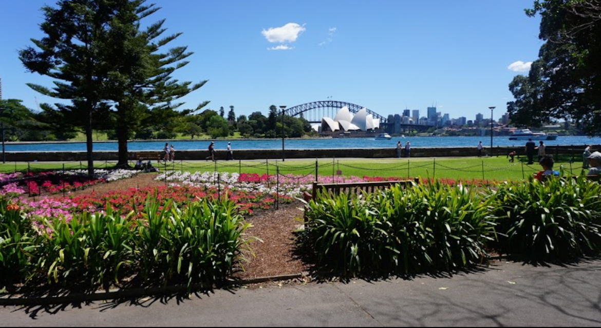 Royal Botanic Garden и Mrs Macquaries Chair
