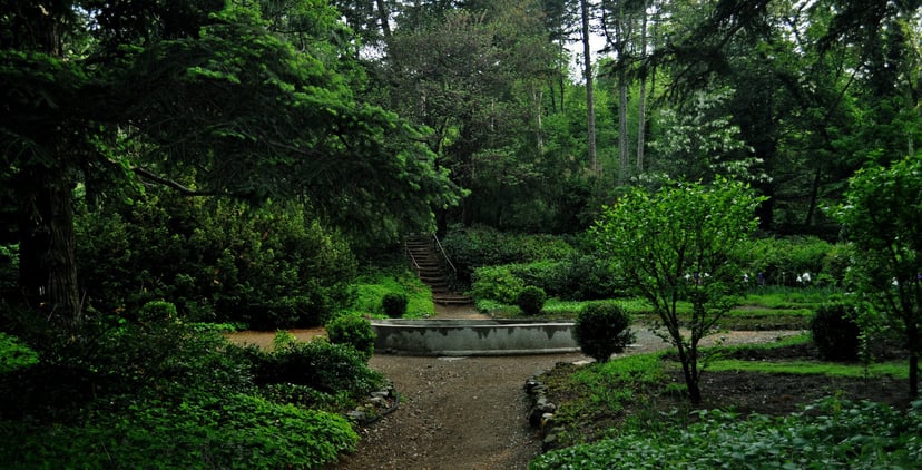 The Botanical Garden