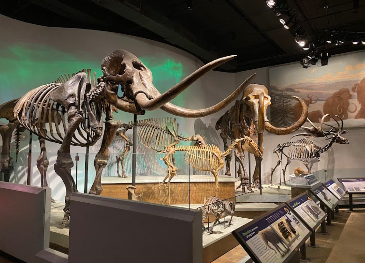 Field Museum