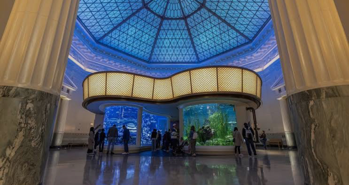 Shedd Aquarium 