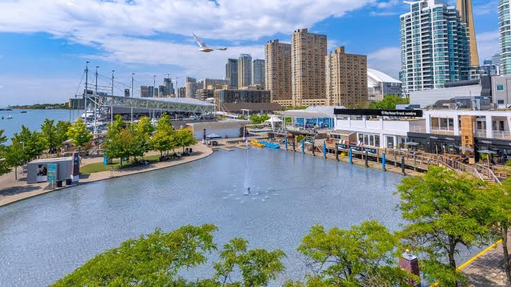 Harbourfront Centre 