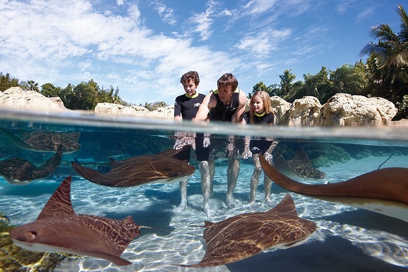 Discovery Cove