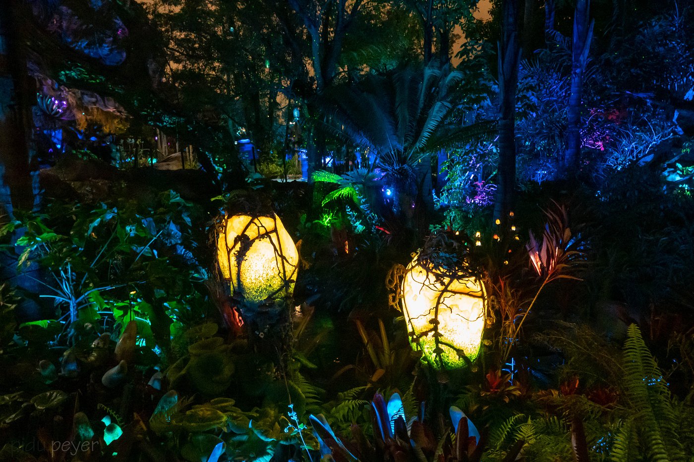 Pandora – The World of Avatar