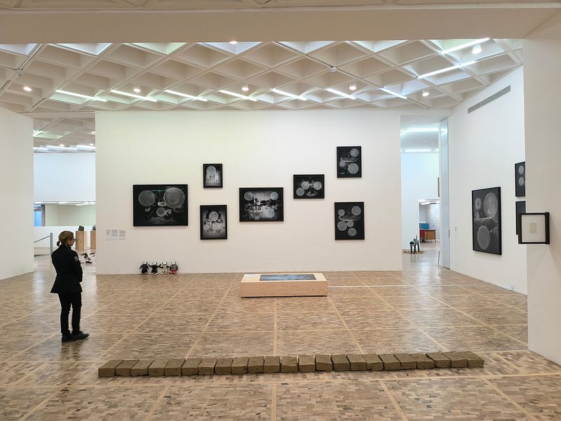 Tamayo Contemporary Art Museum 