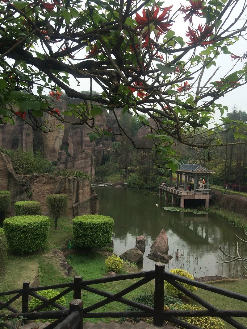 Lotus Mountain