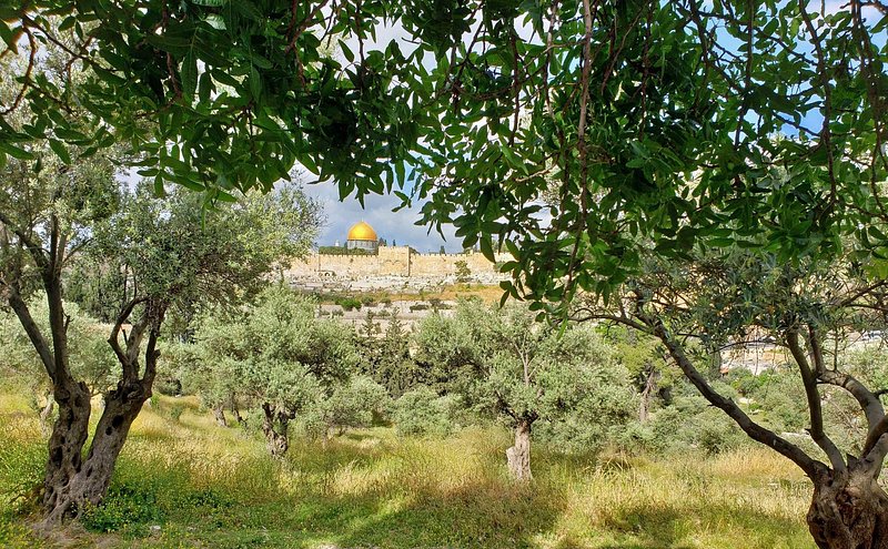 Orson Hyde Memorial Garden