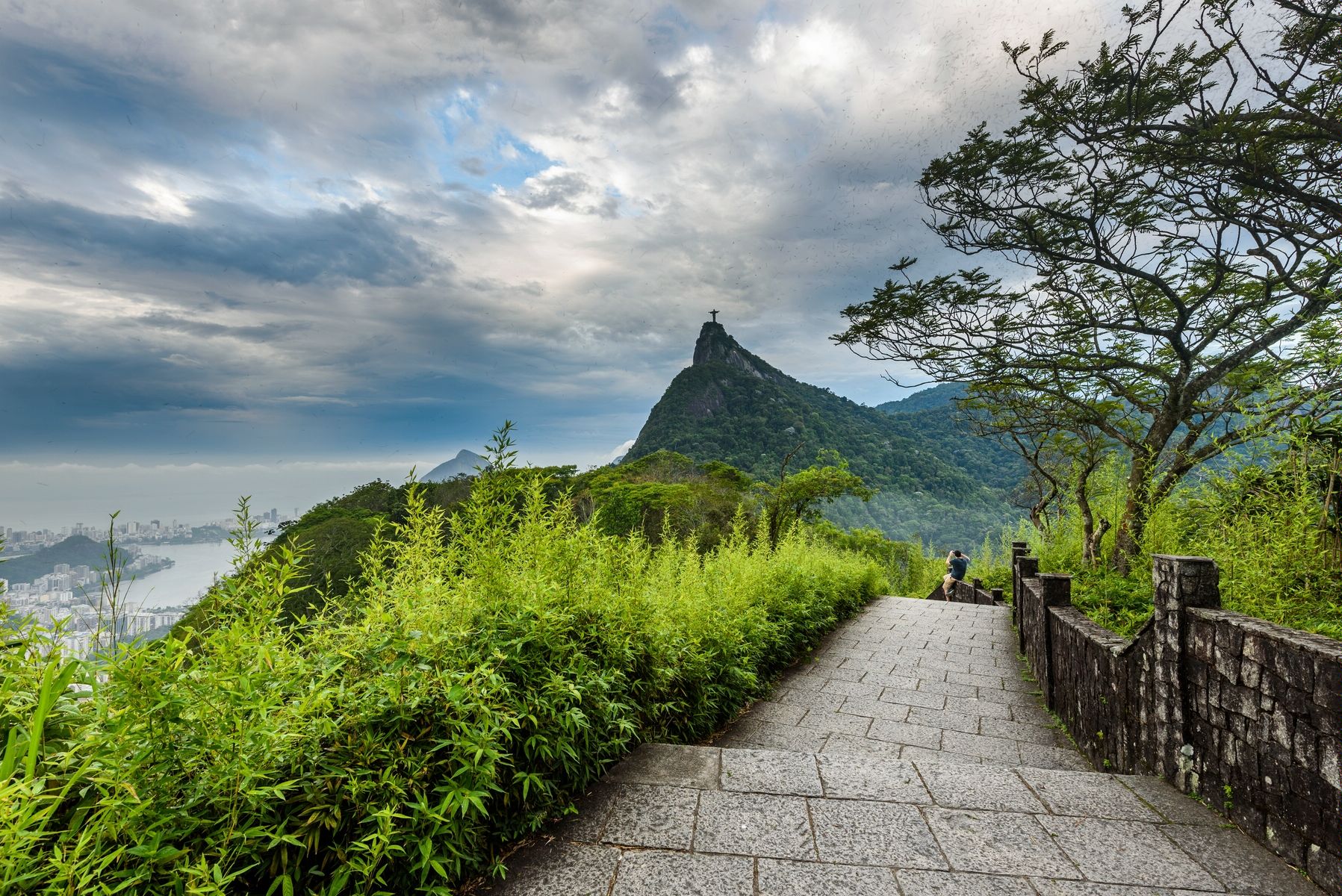 Tijuca National Park