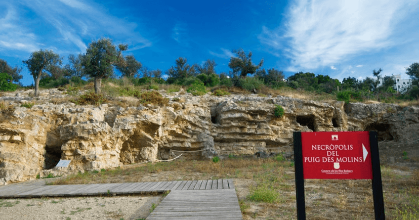 Puig des Molins 