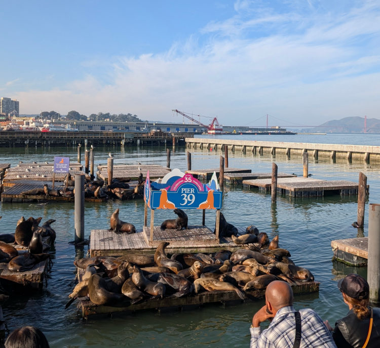 Fisherman’s Wharf