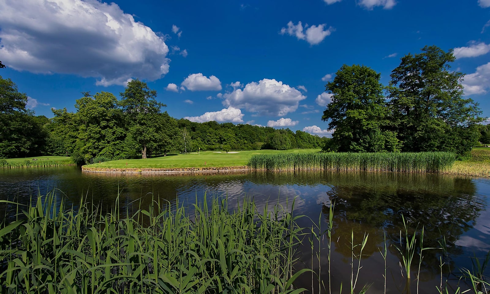 Golf-Club Neuhof e.V. 