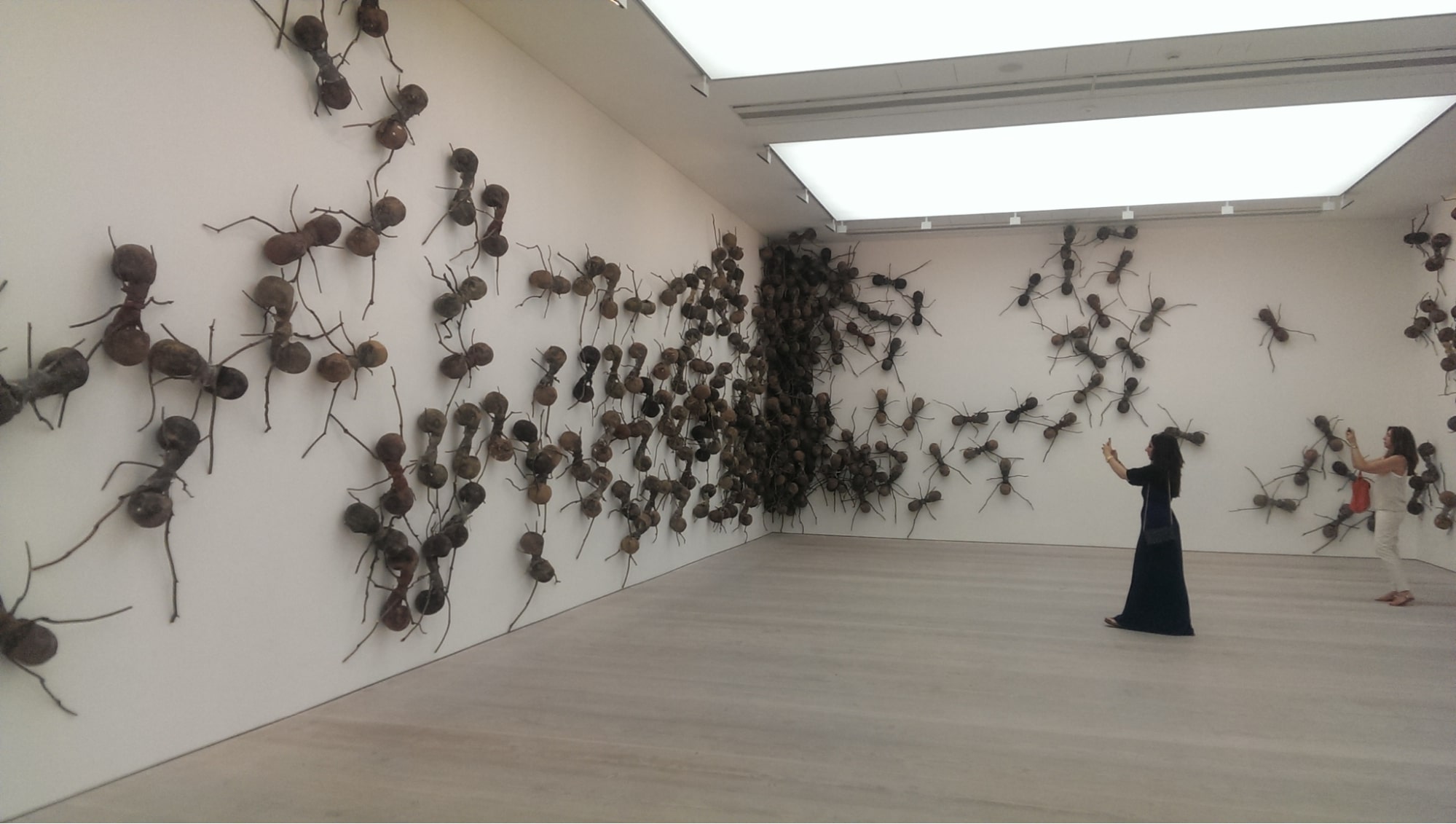 Saatchi Gallery
